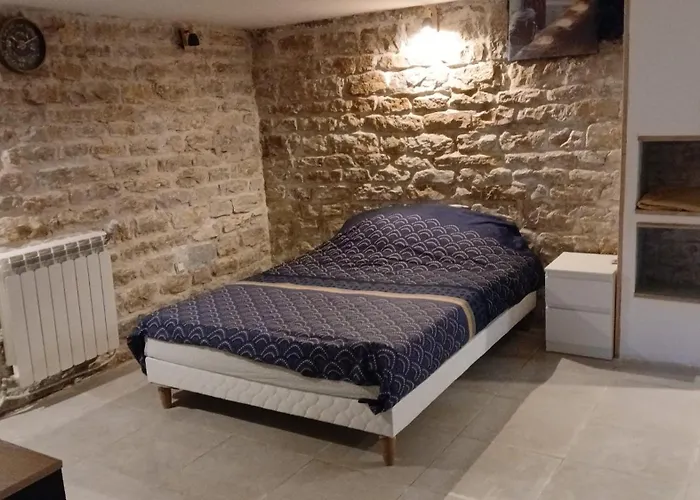 Luxury Lilas Διαμέρισμα Ντιζόν